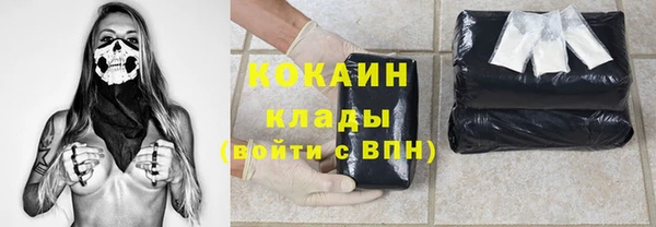 ПСИЛОЦИБИНОВЫЕ ГРИБЫ Ельня