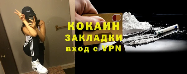 ПСИЛОЦИБИНОВЫЕ ГРИБЫ Ельня