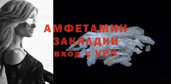 ПСИЛОЦИБИНОВЫЕ ГРИБЫ Ельня