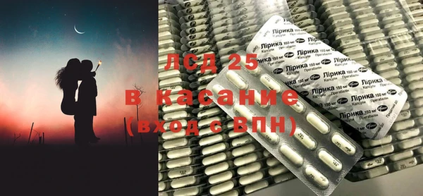 ПСИЛОЦИБИНОВЫЕ ГРИБЫ Ельня