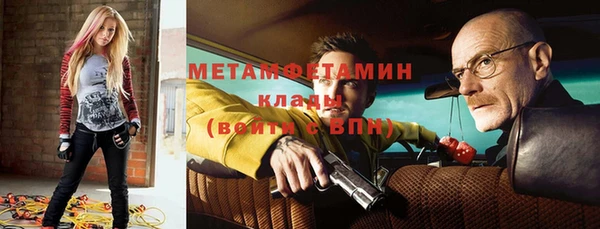 ПСИЛОЦИБИНОВЫЕ ГРИБЫ Ельня