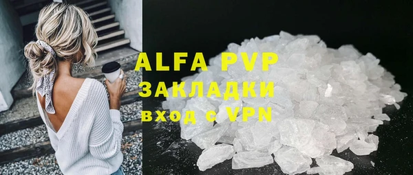 ПСИЛОЦИБИНОВЫЕ ГРИБЫ Ельня
