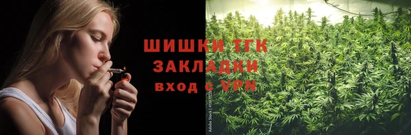 ПСИЛОЦИБИНОВЫЕ ГРИБЫ Ельня